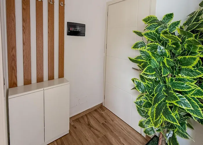 Superior Duplex 1